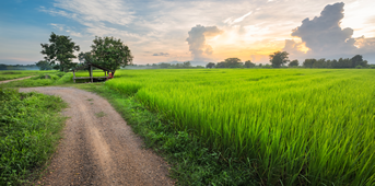 Wege- und Straßenbau